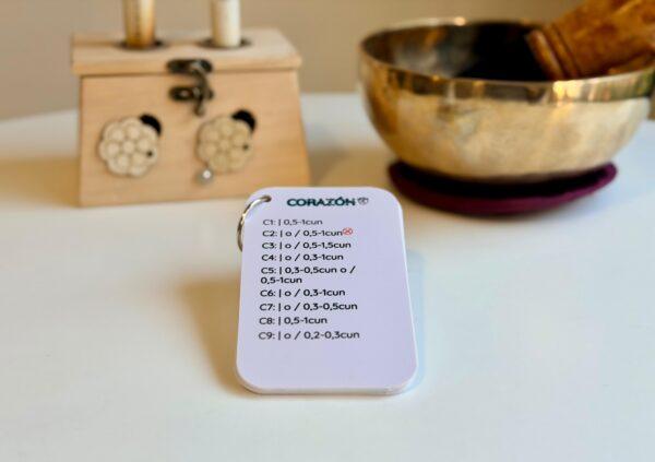 Flashcards Punciones