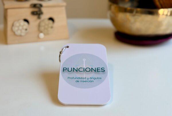 Pack de Flashcards (3)