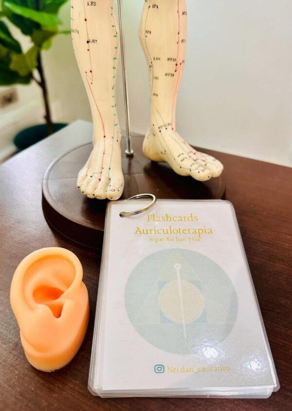 Flashcards Auriculoterapia + Oreja