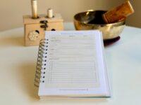 agenda de practica clinica de medicina china acupuntura interior