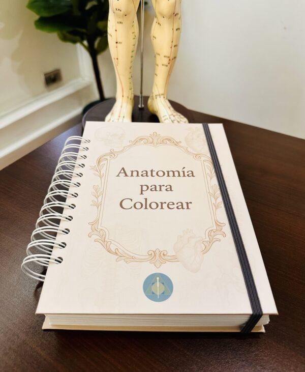 Libro Para Colorear de Anatomía