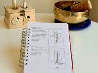 guía de ubicación de puntos de acupuntura medicina china interior