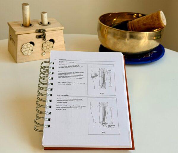 guía de ubicación de puntos de acupuntura medicina china interior