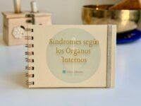 Síndromes en Medicina China | Guía de Bolsillo A6