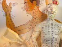 clases particulares de acupuntura meridianos medicina china puntos de acupuntura