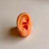 Oreja de Silicona para Auriculoterapia | Modelo de Práctica Oreja de Silicona para Auriculoterapia | Modelo de Práctica zoom
