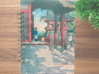 agenda registro pacientes acupuntura