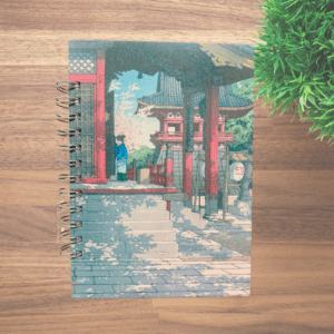 agenda registro pacientes acupuntura