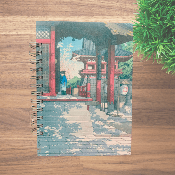 agenda registro pacientes acupuntura