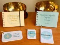 kit medicina china para estudiantes acupuntura