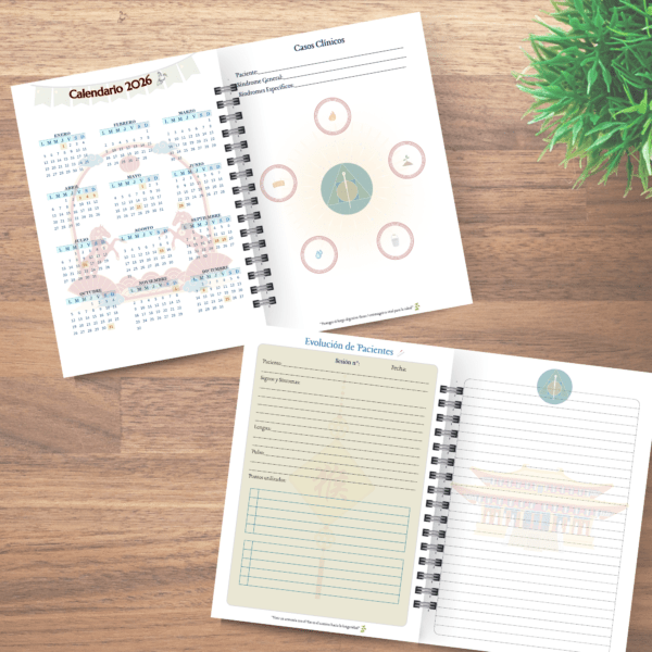 Agenda Clínica para Acupunturistas Personalizada