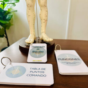 Pack de Flashcards (3)